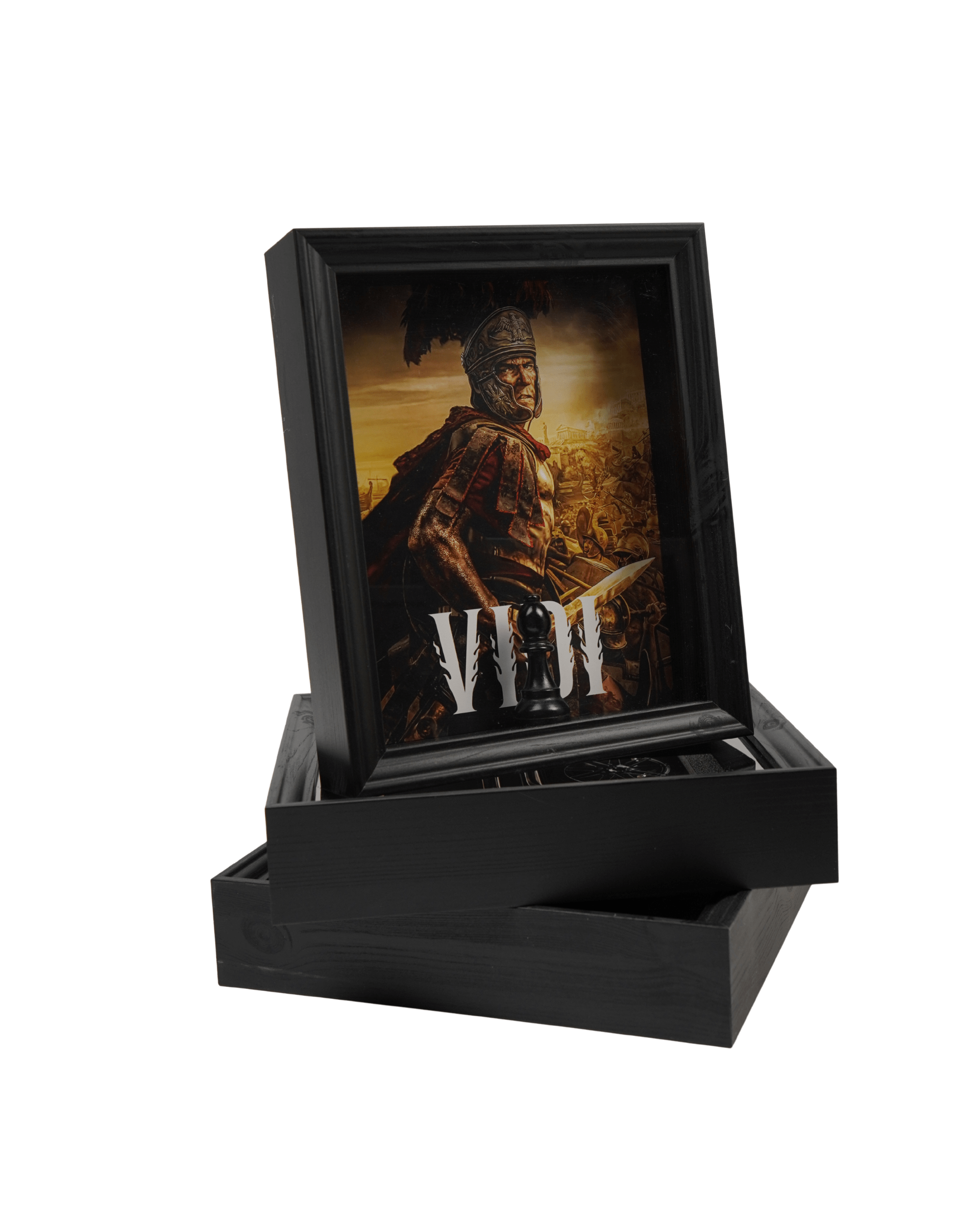 Veni Vidi Vici
