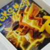 DSC09208 Pokemon