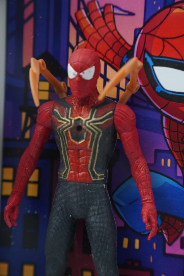DSC09304 Spidey