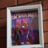 DSC09309 Spidey