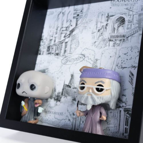MSW_5923 Voldemort & Dumbledore